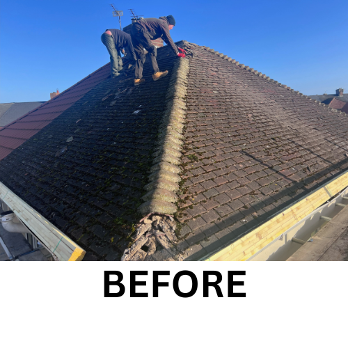 Before & Afters